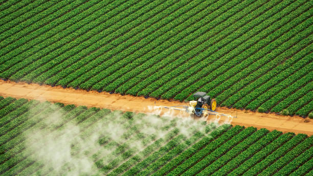 Pest Control Cost in Angleton, TX