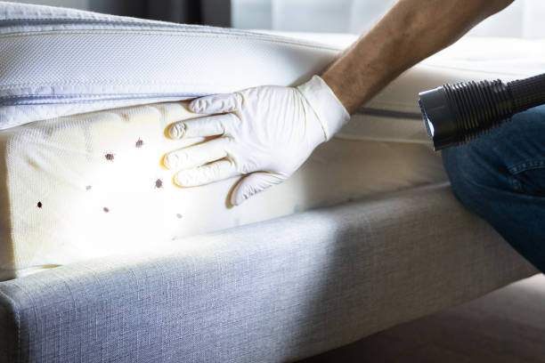 Angleton, TX Pest Control Company