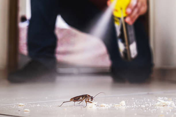 Best Wildlife Control Services  in Angleton, TX