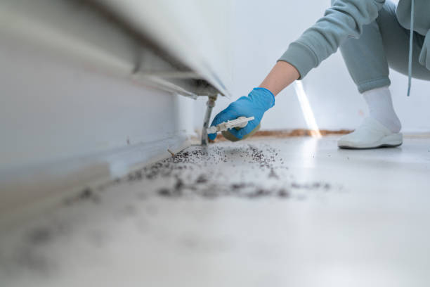 Best Best Pest Control Companies  in Angleton, TX